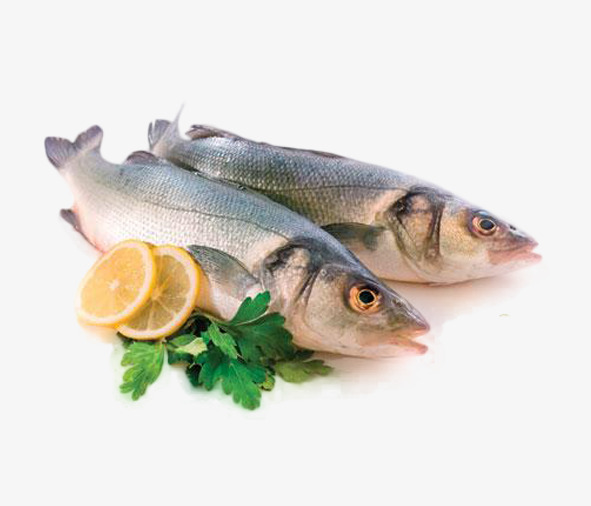 Fish, Fish And Meat, Protein Png Image And Clipart - Fish And Meat, Transparent background PNG HD thumbnail