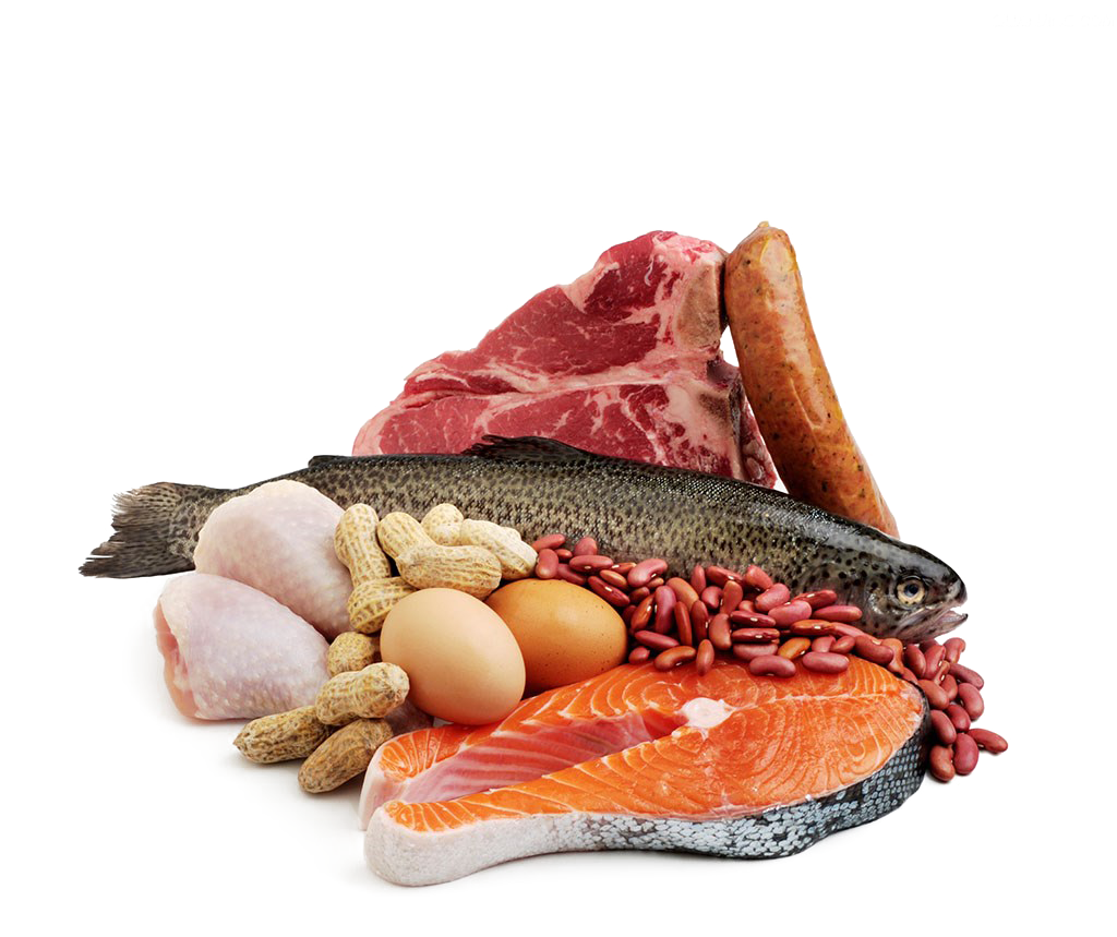 fish, Fish And Meat, Protein 