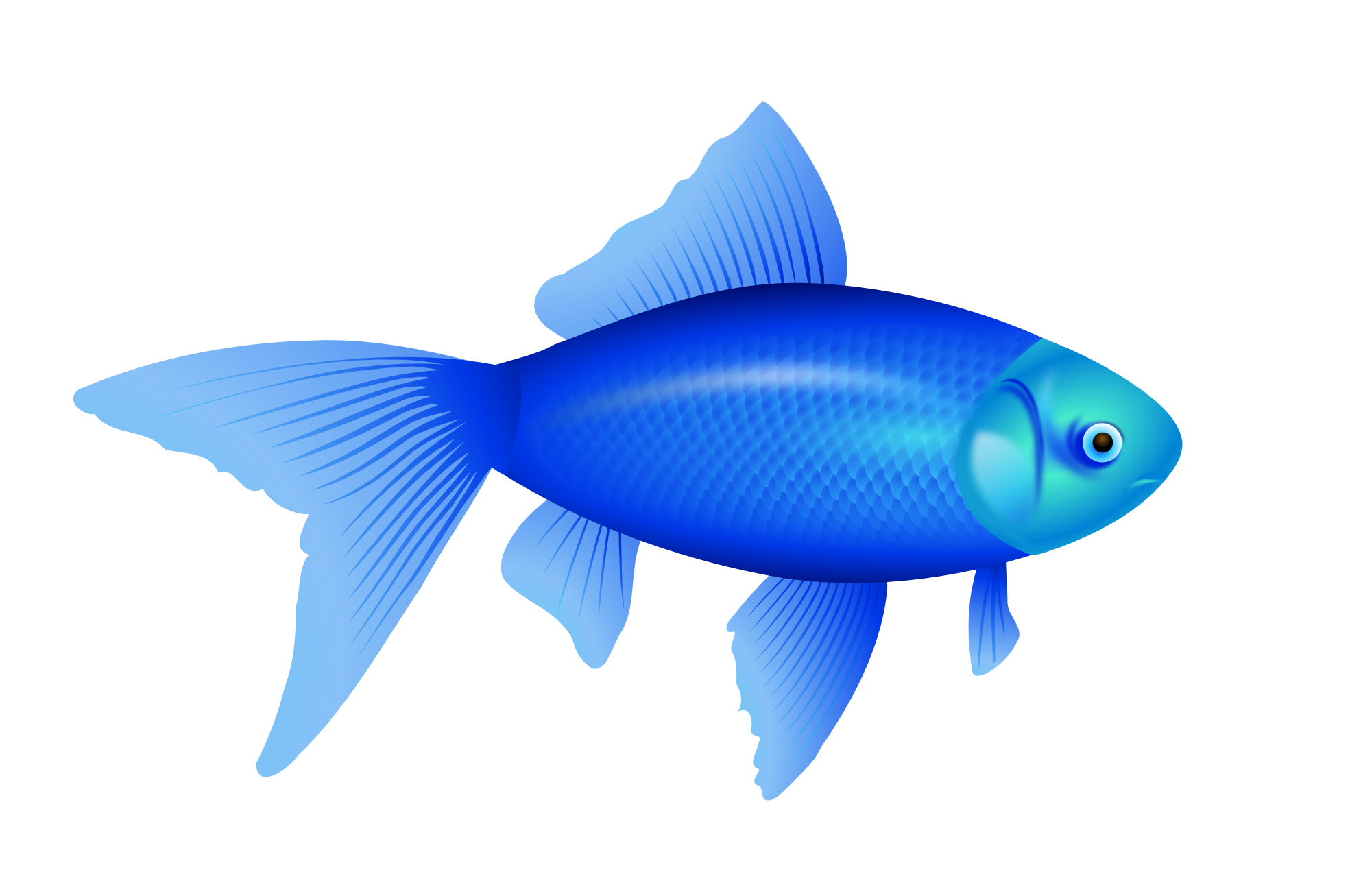 Pin Tropical Fish Clipart Png File #7 - Fish, Transparent background PNG HD thumbnail