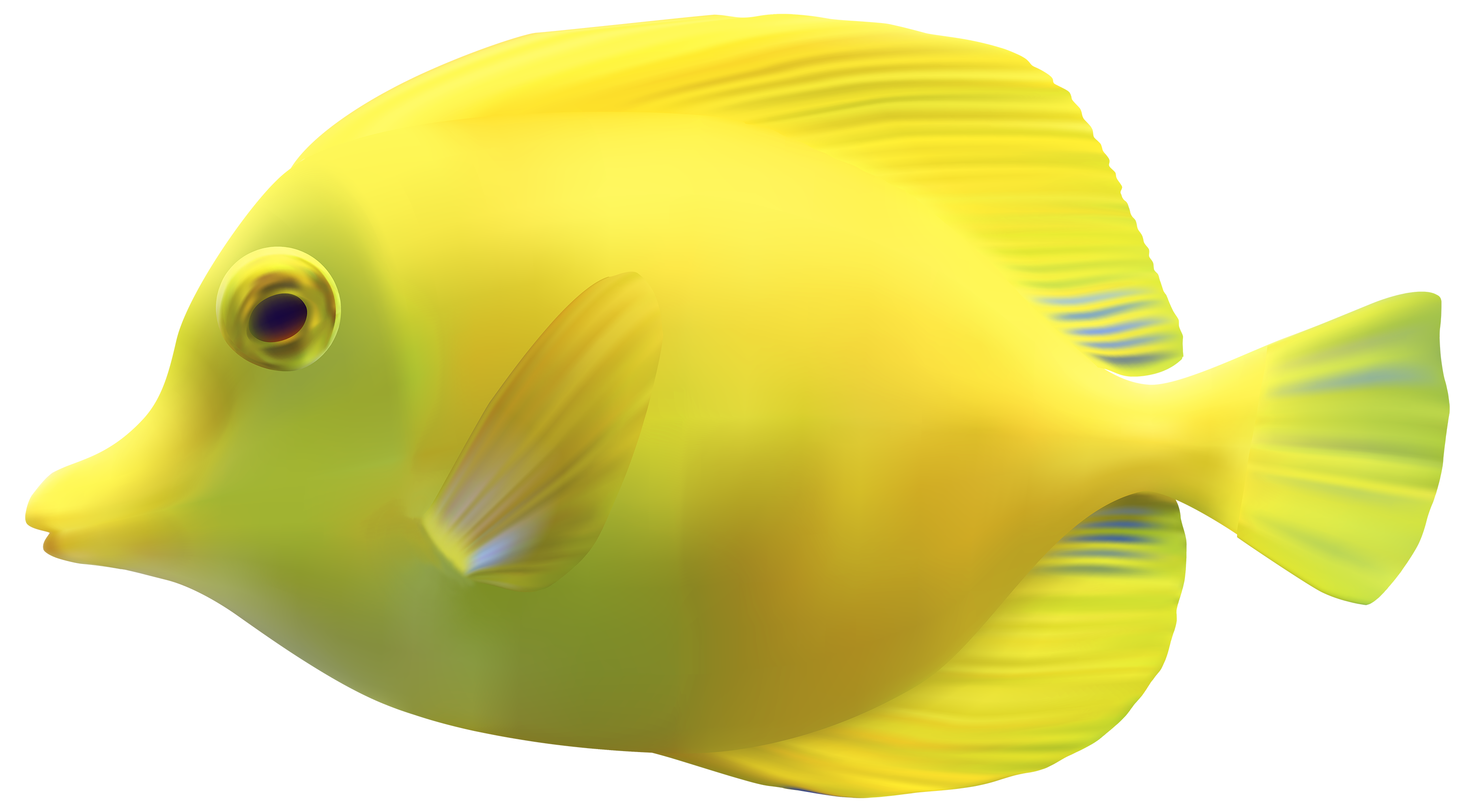 Orange Fish PNG Image image #