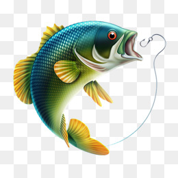 Hd Fresh Fish, Fresh, Hd, Fish Png And Psd - Fish, Transparent background PNG HD thumbnail