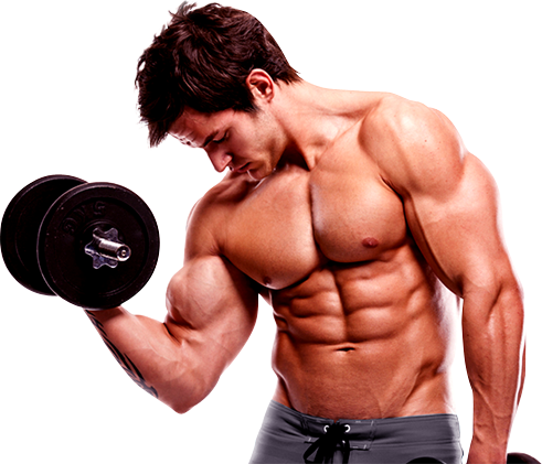 Bodybuilding Png Hd - Fitness, Transparent background PNG HD thumbnail