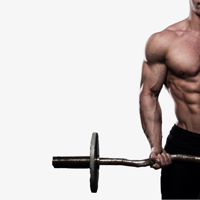 Fitness Man Being Hd Photography Free Png - Fitness, Transparent background PNG HD thumbnail
