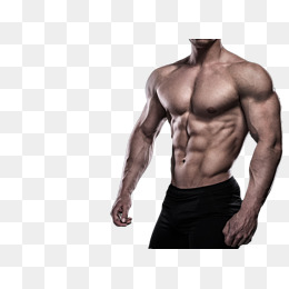 Menu0027S Fitness Side Hd Photograph, Muscle Fitness, People Muscle, Motion Pictures Png Image - Fitness, Transparent background PNG HD thumbnail