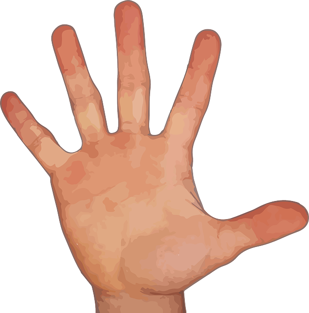 Five fingers PNG image, Five Fingers PNG - Free PNG
