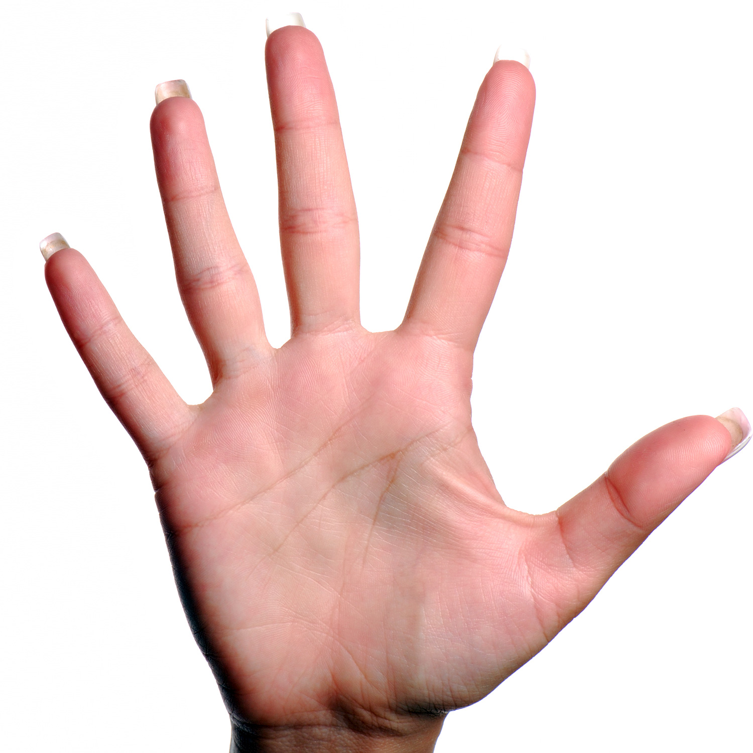 Hands Have 5 Fingers - Five Fingers, Transparent background PNG HD thumbnail