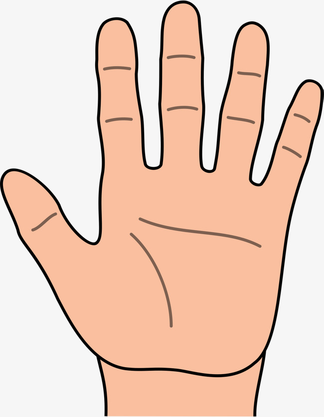 Left Hand Cartoon Hd, Palm, Five Fingers, Left Hand Free Png Image - Five, Transparent background PNG HD thumbnail