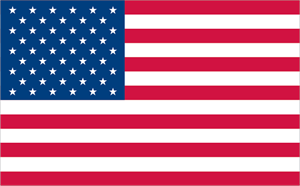 American Flag Logo Vector