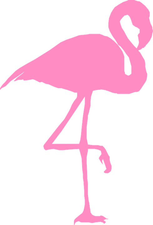 Flamingo, Bird, Silhouette, Pink, Nature, Wildlife, Zoo - Flamingo, Transparent background PNG HD thumbnail