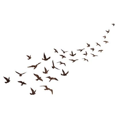 Wall Decal   Flock Of Birds #organizedotcom #dreamdorm - Flock of Birds, Transparent background PNG HD thumbnail