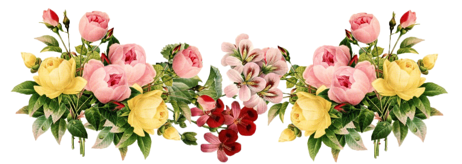 Floral Png Image PNG Image
