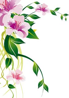 HD cover illustration flower 