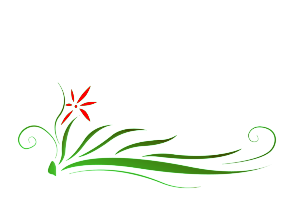 Floral PNG Transparent Image