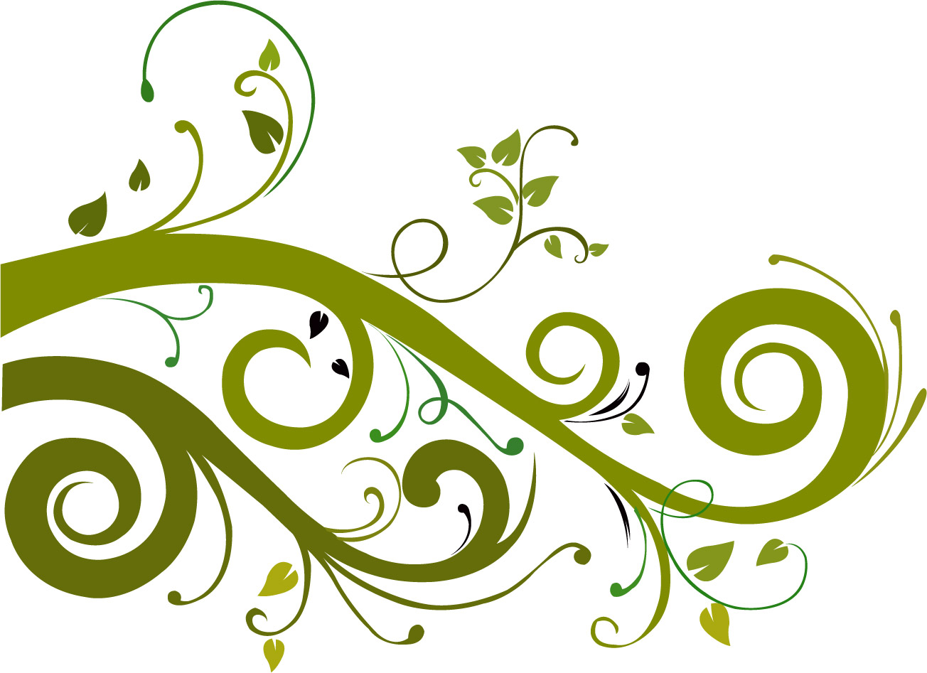 Flower Vector Graphic 7554 Hd Wallpapers In Vector N Designs - Floral, Transparent background PNG HD thumbnail
