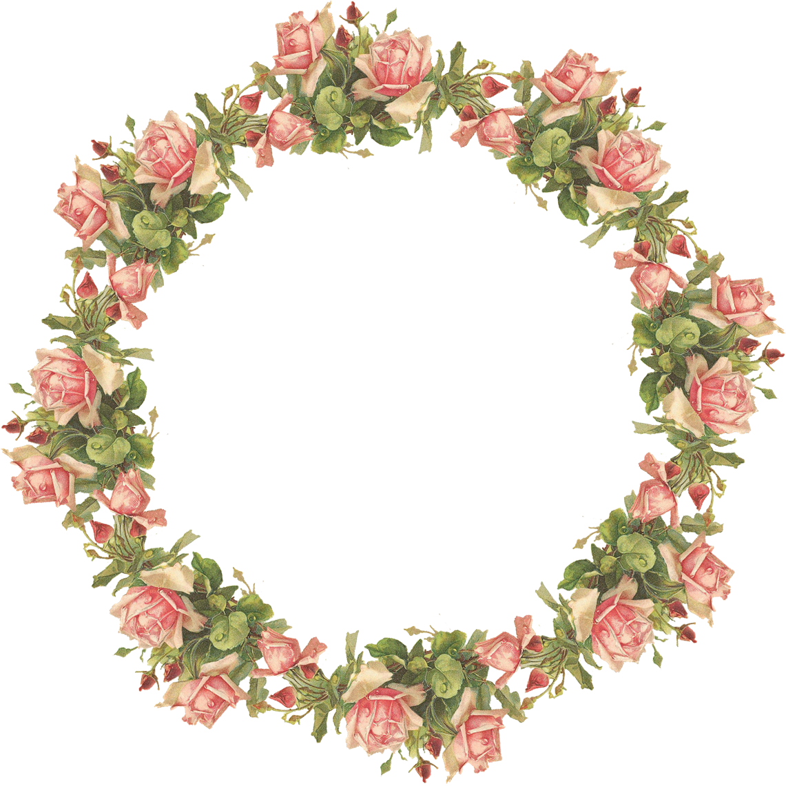 Flower Frame Png Png Image - Decorate, Transparent background PNG HD thumbnail