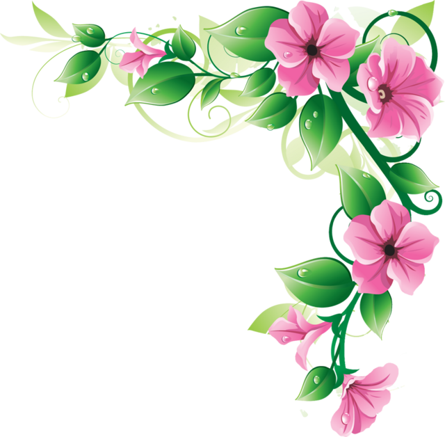 Flowers Borders Png Image Png Image - Flower, Transparent background PNG HD thumbnail
