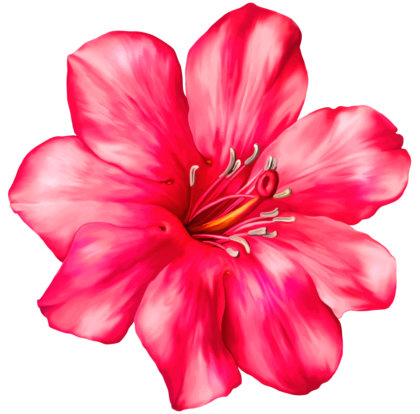 Exotic Pink Flower Png Clipart Picture - Flower, Transparent background PNG HD thumbnail