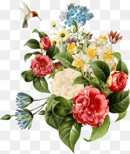 Flower - Flower, Transparent background PNG HD thumbnail