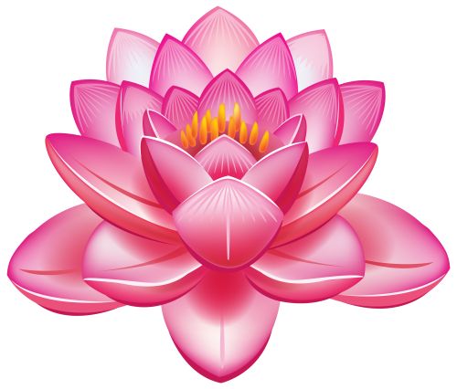 Lotus Flower Png Clipart - Flower Jpg, Transparent background PNG HD thumbnail