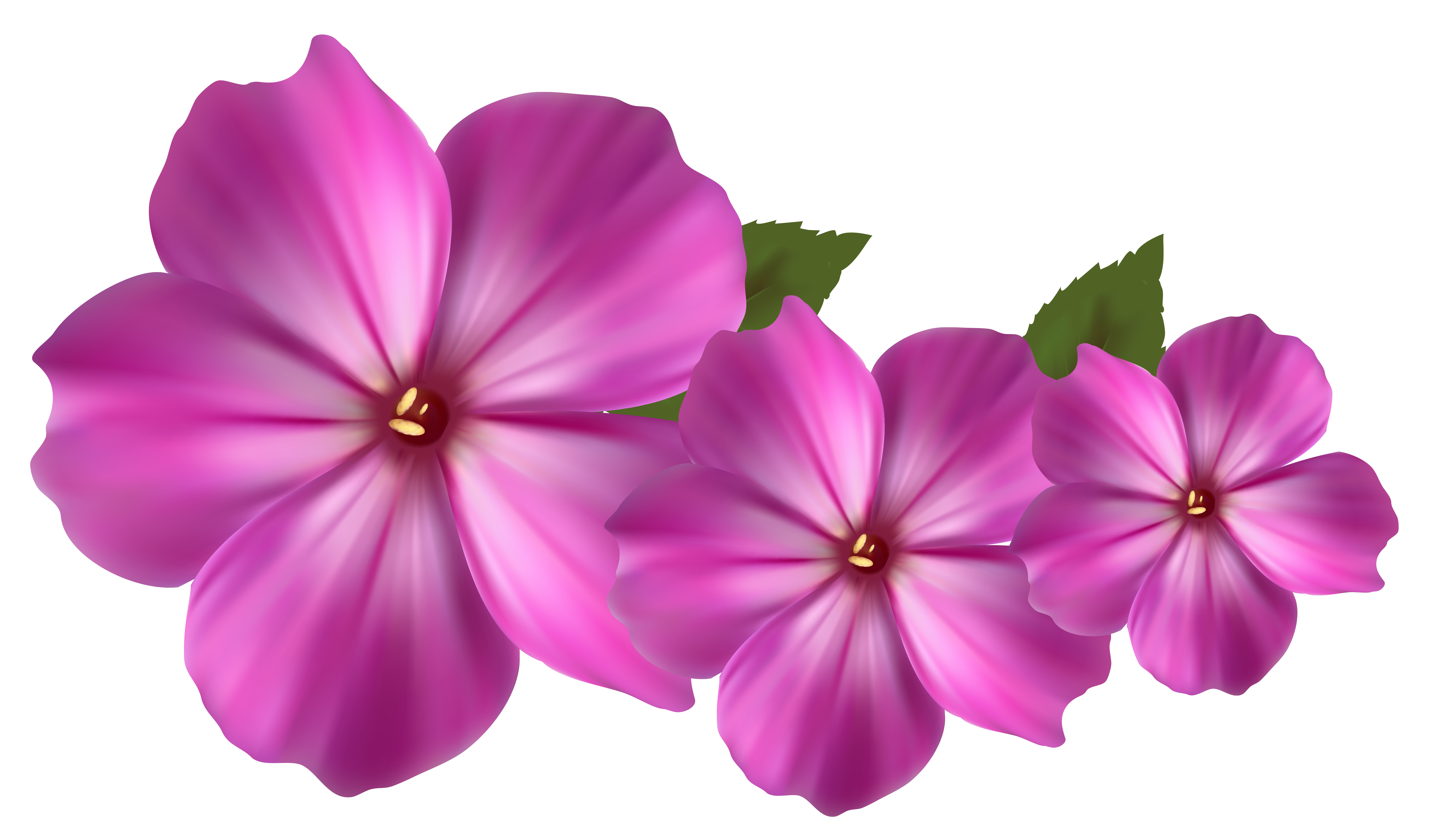 Pink Flower Decor Png Image #17941 - Flower, Transparent background PNG HD thumbnail