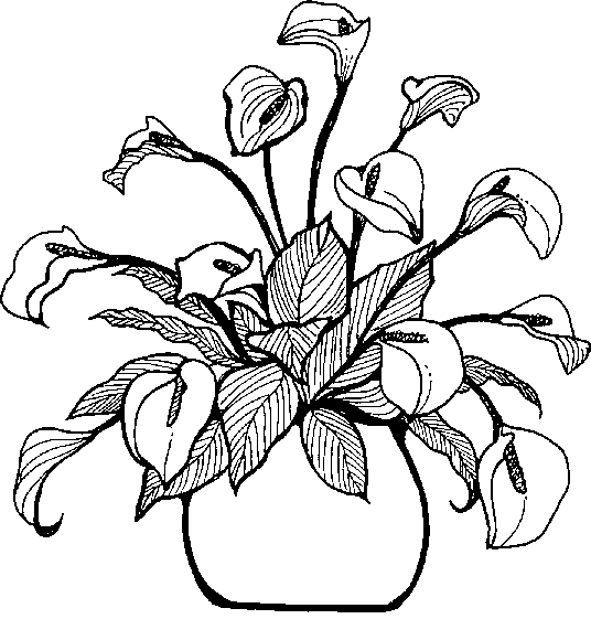 Clipart Info - Flower Vase Black And White, Transparent background PNG HD thumbnail