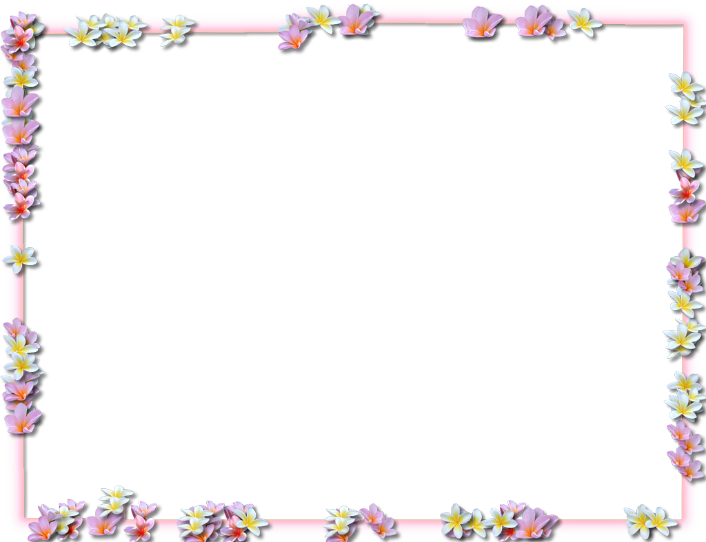 Download Png Image   Flowers Borders Png Pic - Flowers Borders, Transparent background PNG HD thumbnail