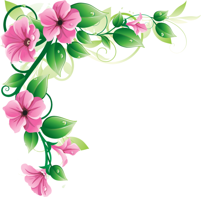 Flower Bottom Border Png - Flowers Borders, Transparent background PNG HD thumbnail
