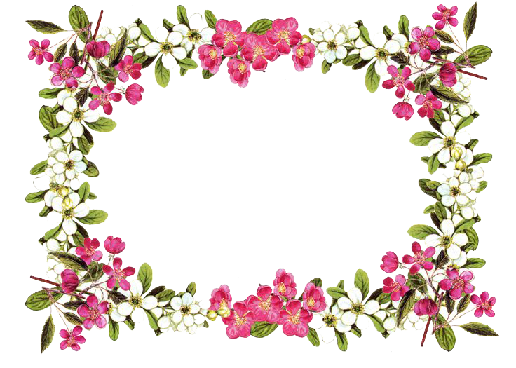 Flowers Borders Png Clipart Png Image - Flowers Borders, Transparent background PNG HD thumbnail