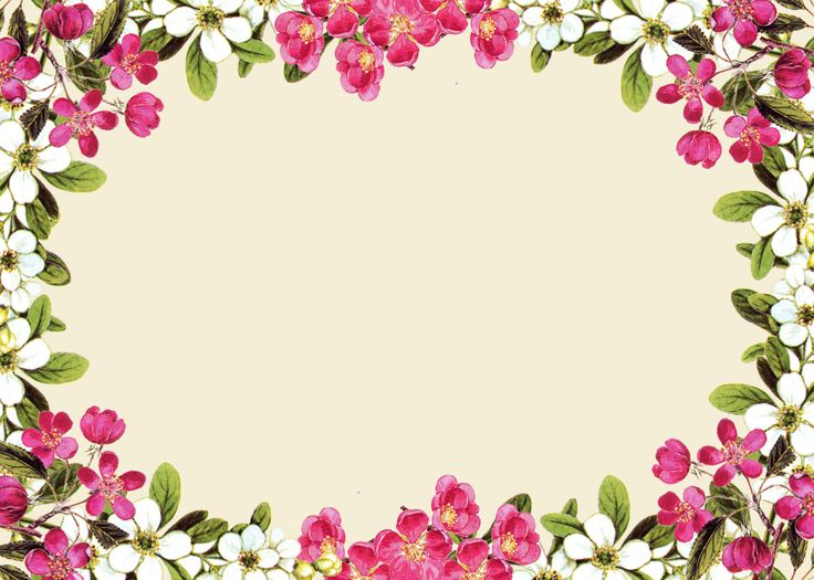 Pink Floral Borders | Free Digital Flower Frame Png And Flower Frame Journaling Card . - Flowers Borders, Transparent background PNG HD thumbnail