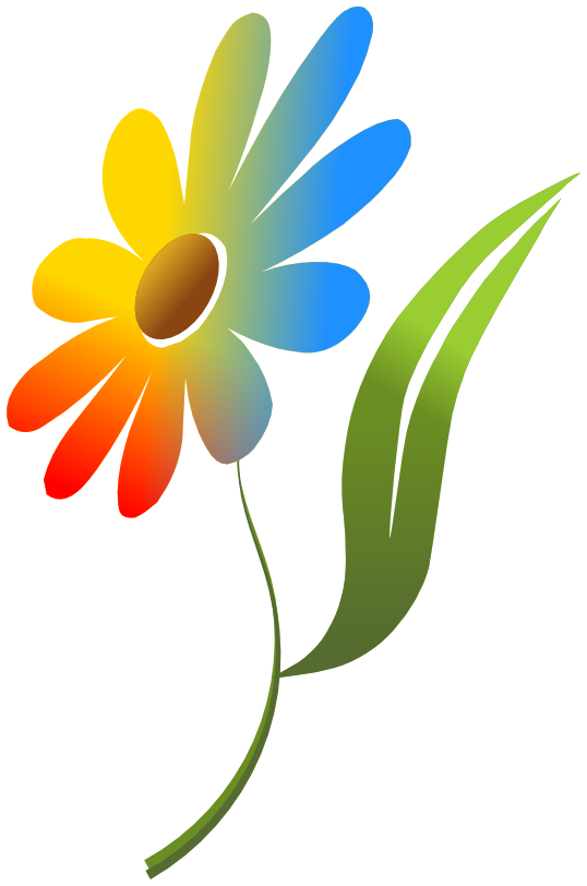 Flowers Color Png - Flower Multi Color   /plants/flowers/colors/flower_Multi_Color.png.html, Transparent background PNG HD thumbnail