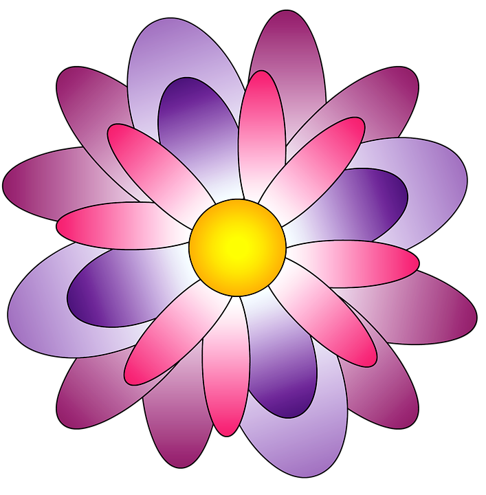 Flower, Rosa, Color Pink, Purple, Lilac, Flowers - Flowers Color, Transparent background PNG HD thumbnail