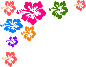 Hibiscus Flower Color Clip Art - Flowers Color, Transparent background PNG HD thumbnail