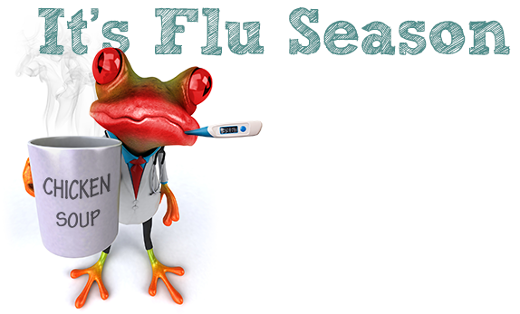 Influenza (flu) season occurs