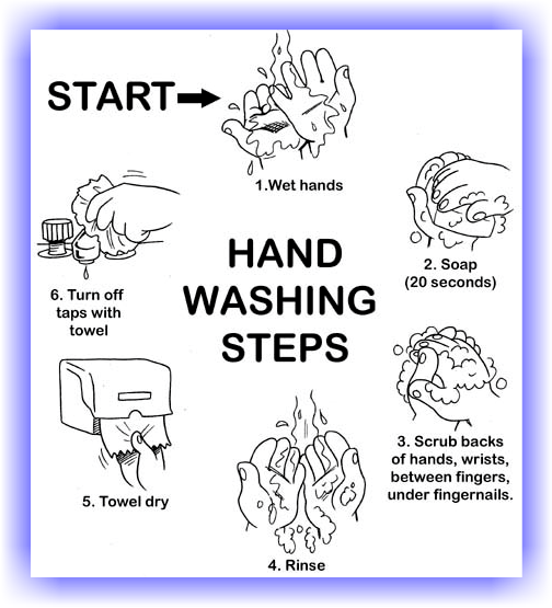 Handashing Steps - Flu Season, Transparent background PNG HD thumbnail