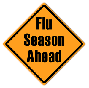 Influenza (Flu) Season Occurs In The Fall And The Winter (October To May) But Usually Peaks From November To March. The Flu Is A Virus That Is Spread Hdpng.com  - Flu Season, Transparent background PNG HD thumbnail