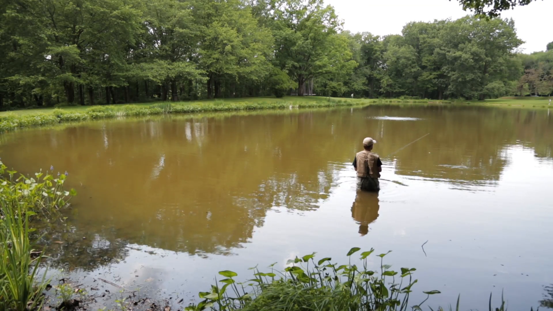 Fly Fishing, Wide. Fly Fisherman Casts His Fishing Rod. 1080P Hd. Stock Video Footage   Videoblocks - Fly Fishing, Transparent background PNG HD thumbnail