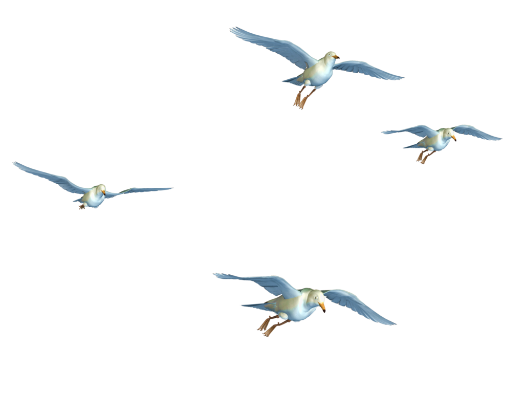 Flying Birds 06 PNG Stock by 