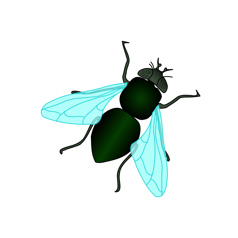 Filename: Biaab69At.png - Fly, Transparent background PNG HD thumbnail