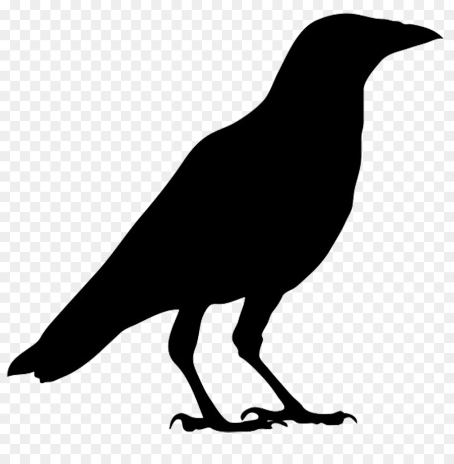 Flying Crow PNG Black And White - American Crow Common R