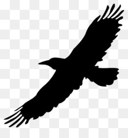 Big Bird Flight Crows Clip Art   Big Bird Cliparts - Flying Crow Black And White, Transparent background PNG HD thumbnail