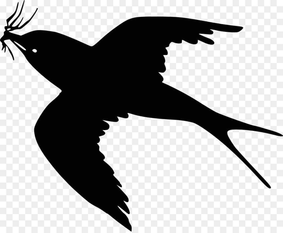 Flying Crow PNG Black And White - Bird Gulls Crows Drawi