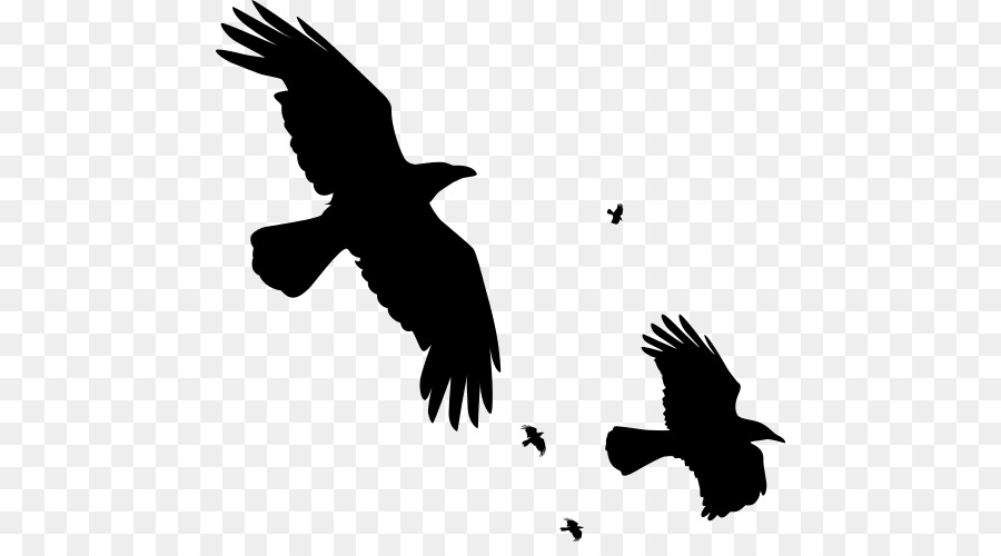 Flying Crow Png Black And White - Common Raven Bird T Shirt Silhouette   Flying Crow Png, Transparent background PNG HD thumbnail