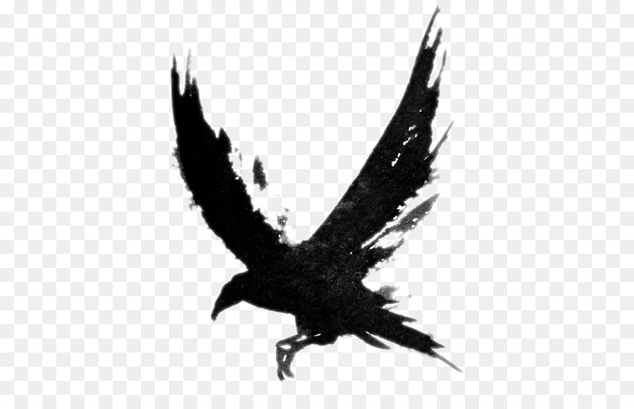 Flying Crow Png Black And White - Common Raven Tattoo Bird Drawing Clip Art   Flying Crow Png, Transparent background PNG HD thumbnail