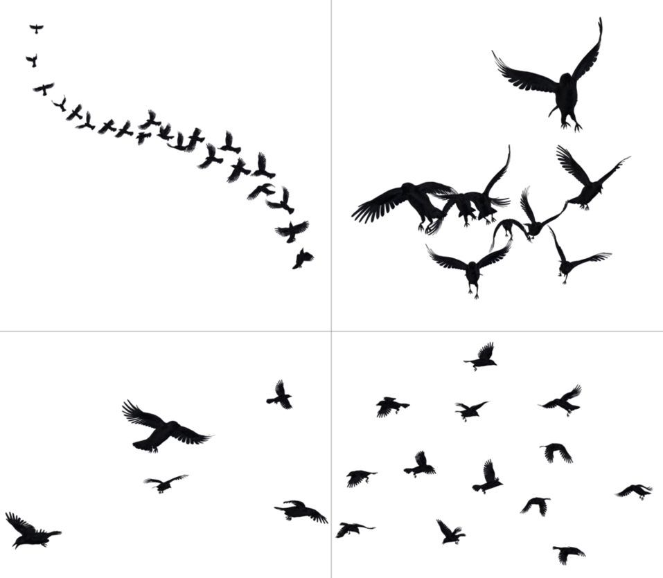 Flying Crow Png Black And White - Crows In Flight Png Stock By Roy3D Hdpng.com , Transparent background PNG HD thumbnail