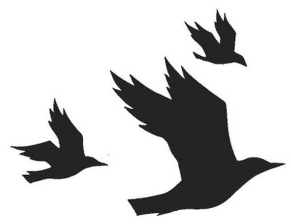 Flying Crow Png Black And White - Download This Image As:, Transparent background PNG HD thumbnail