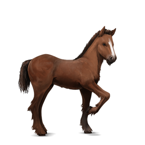 File:bay Foal.png - Foal, Transparent background PNG HD thumbnail