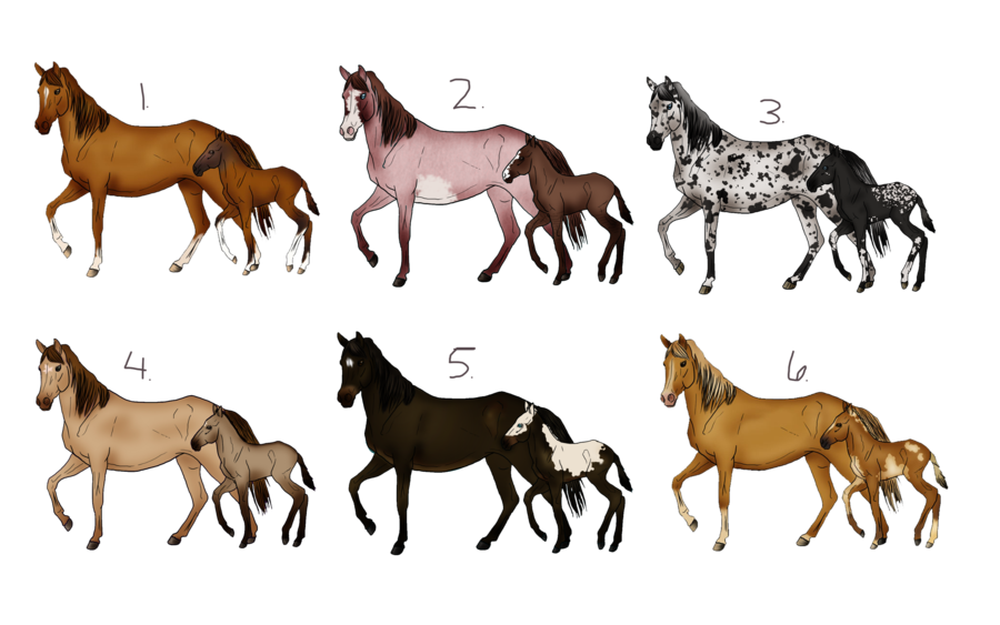 Mare And Foal Sale   Closed By S1088 Hdpng.com  - Foal, Transparent background PNG HD thumbnail