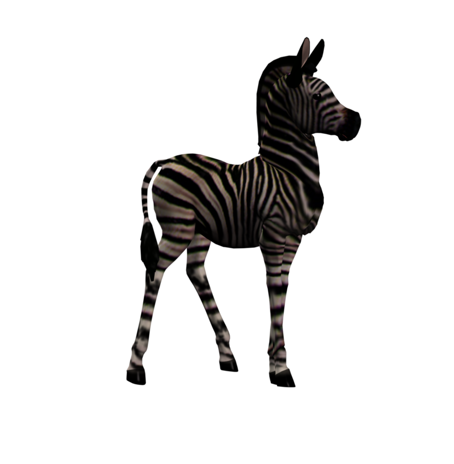 Zebra Foal 1 Png Stock By Direwrath Hdpng.com  - Foal, Transparent background PNG HD thumbnail