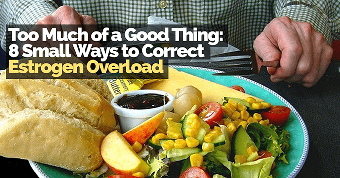 Too Much of a Good Thing: 8 Small Ways to Correct Estrogen Overload, Food Overload PNG - Free PNG