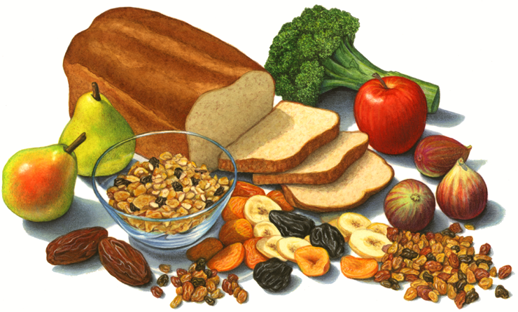 High Fiber Foods Including Broccoli, Fresh And Dried Fruit. Whole Grain Cereal And Bread - Foods, Transparent background PNG HD thumbnail